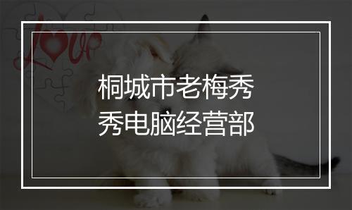 桐城市老梅秀秀电脑经营部