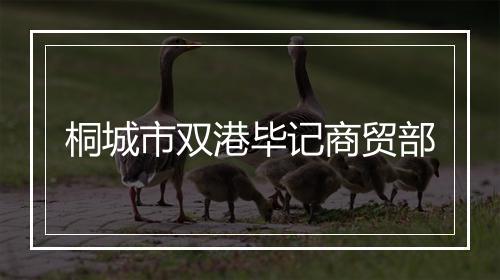 桐城市双港毕记商贸部