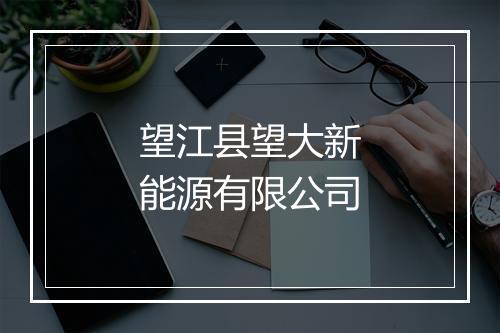 望江县望大新能源有限公司