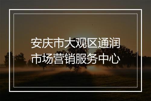 安庆市大观区通润市场营销服务中心