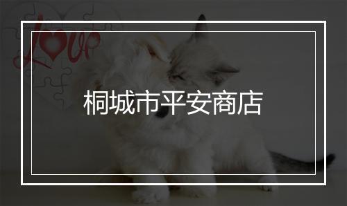 桐城市平安商店