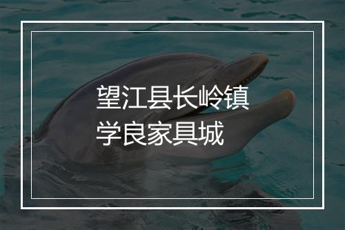 望江县长岭镇学良家具城