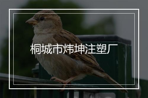 桐城市炜坤注塑厂