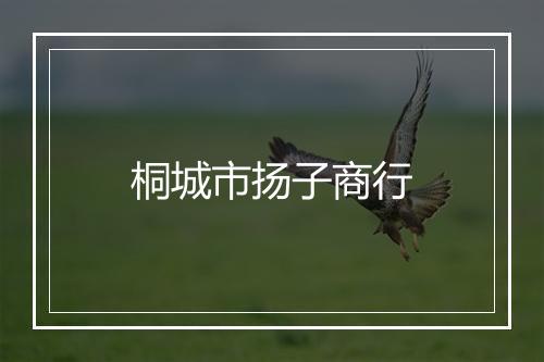 桐城市扬子商行