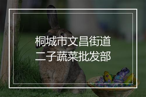 桐城市文昌街道二子蔬菜批发部