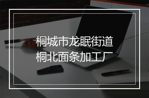 桐城市龙眠街道桐北面条加工厂