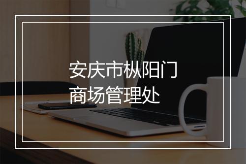 安庆市枞阳门商场管理处