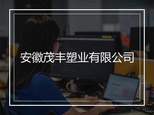 安徽茂丰塑业有限公司