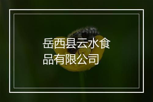 岳西县云水食品有限公司