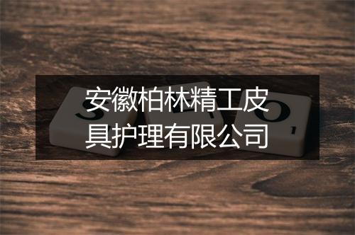 安徽柏林精工皮具护理有限公司