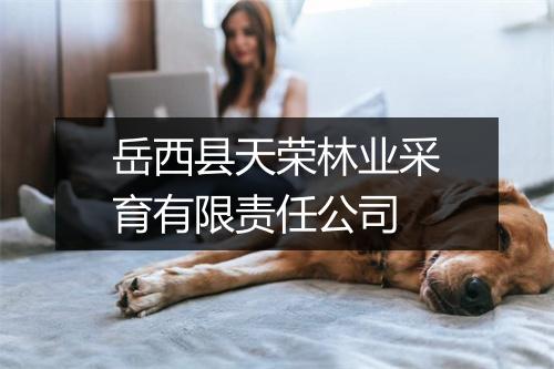 岳西县天荣林业采育有限责任公司