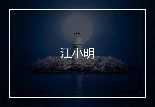 汪小明