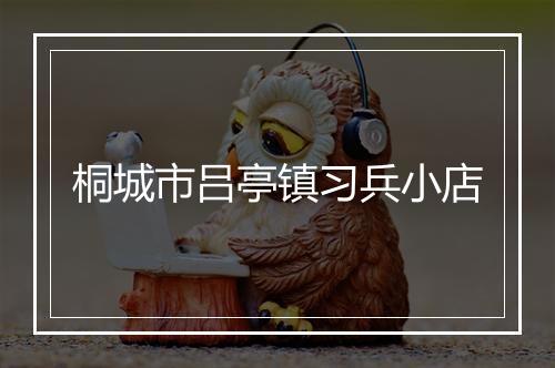 桐城市吕亭镇习兵小店