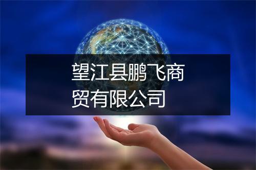 望江县鹏飞商贸有限公司
