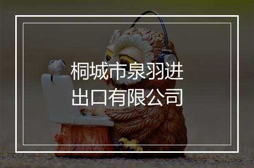 桐城市泉羽进出口有限公司