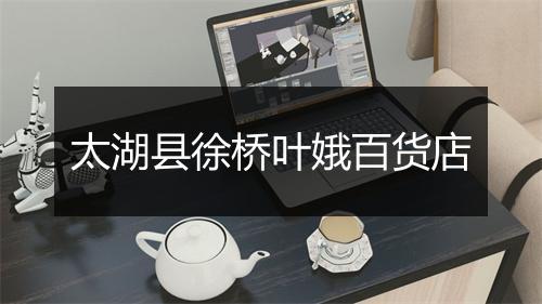太湖县徐桥叶娥百货店
