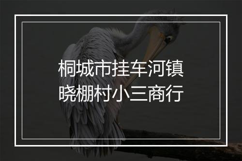 桐城市挂车河镇晓棚村小三商行