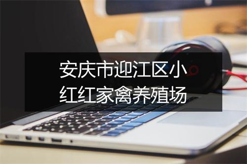 安庆市迎江区小红红家禽养殖场