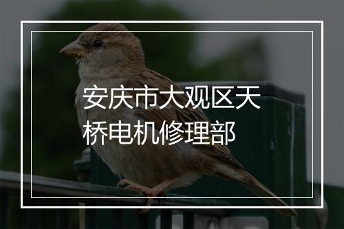 安庆市大观区天桥电机修理部