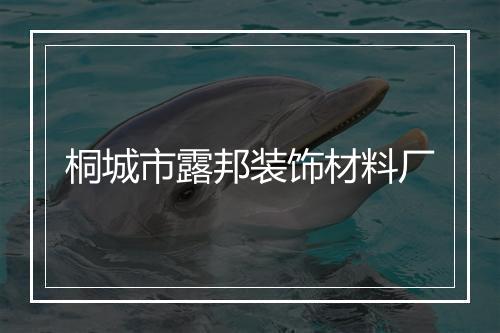 桐城市露邦装饰材料厂