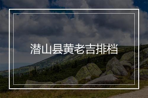 潜山县黄老吉排档