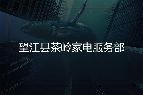 望江县茶岭家电服务部