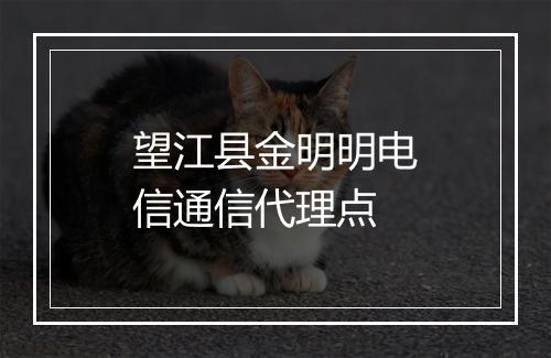望江县金明明电信通信代理点