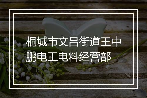 桐城市文昌街道王中鹏电工电料经营部