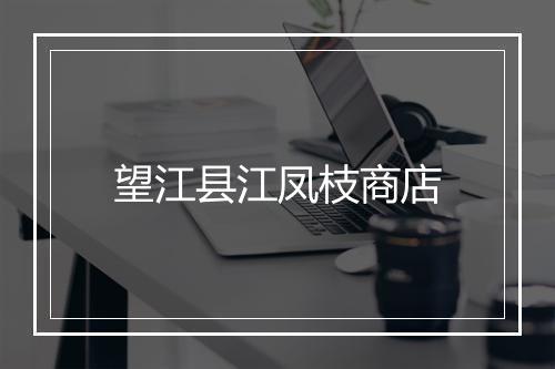 望江县江凤枝商店