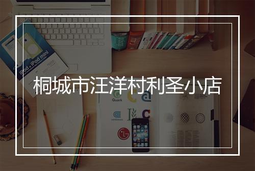 桐城市汪洋村利圣小店