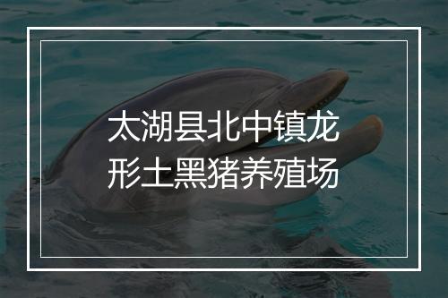 太湖县北中镇龙形土黑猪养殖场