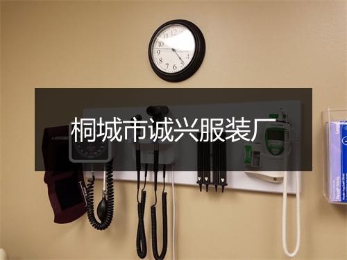 桐城市诚兴服装厂