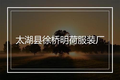 太湖县徐桥明荷服装厂