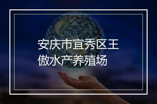 安庆市宜秀区王傲水产养殖场