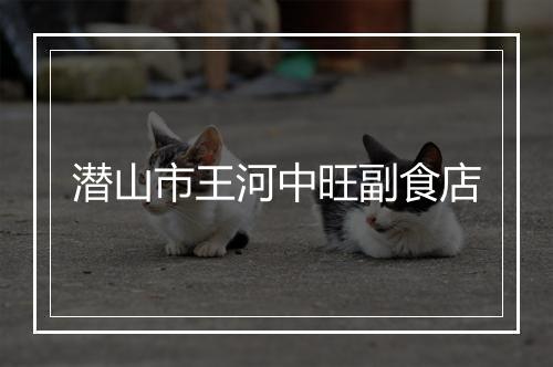 潜山市王河中旺副食店
