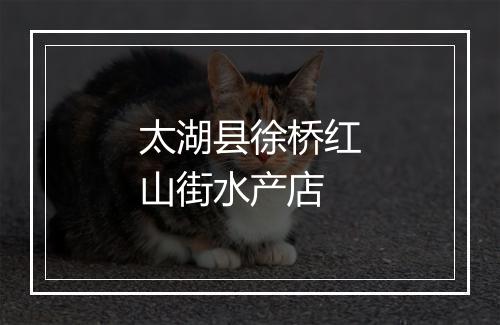 太湖县徐桥红山街水产店