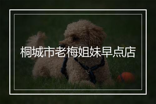 桐城市老梅姐妹早点店