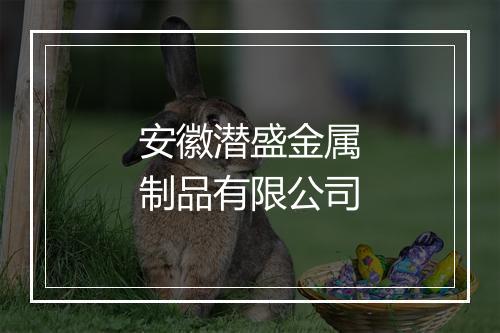 安徽潜盛金属制品有限公司