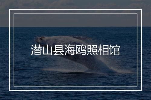 潜山县海鸥照相馆