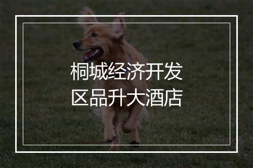 桐城经济开发区品升大酒店
