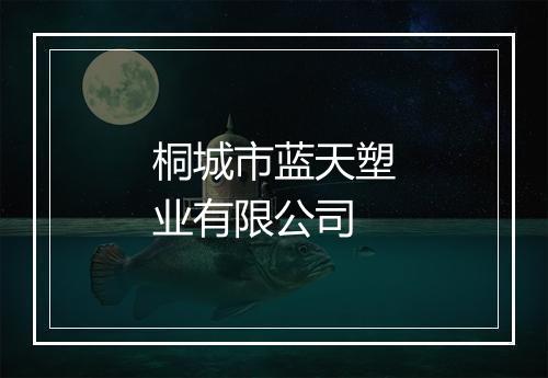 桐城市蓝天塑业有限公司