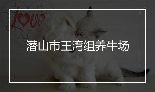 潜山市王湾组养牛场