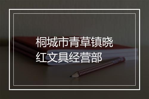 桐城市青草镇晓红文具经营部
