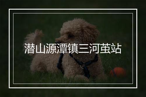 潜山源潭镇三河茧站
