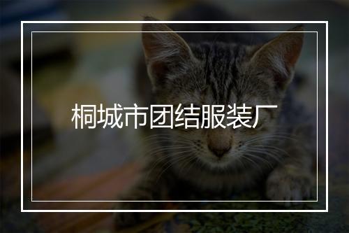 桐城市团结服装厂