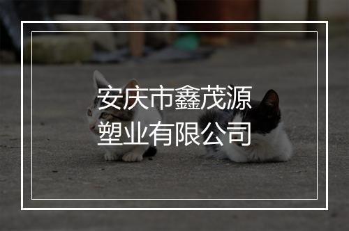安庆市鑫茂源塑业有限公司