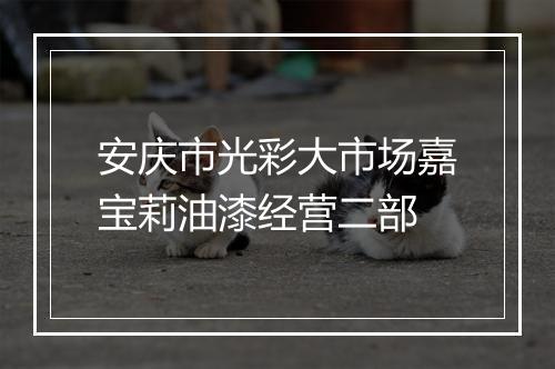 安庆市光彩大市场嘉宝莉油漆经营二部