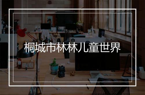 桐城市林林儿童世界