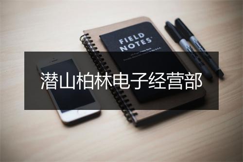 潜山柏林电子经营部