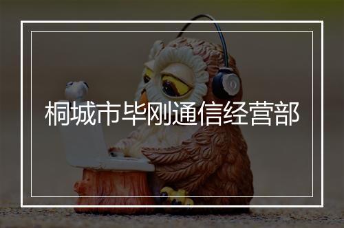 桐城市毕刚通信经营部
